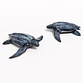 Two Lifelike Black Sea Turtles Posed On White Background In Studio
