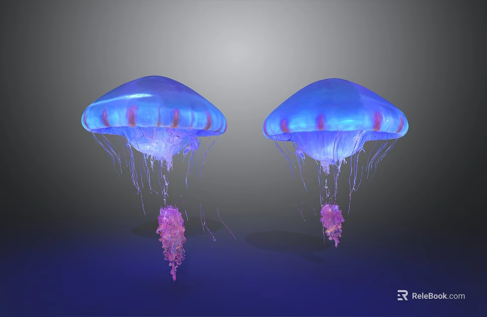Translucent Blue And Purple Jellyfish With Long Pink Tentacles In Aquatic 3d model 