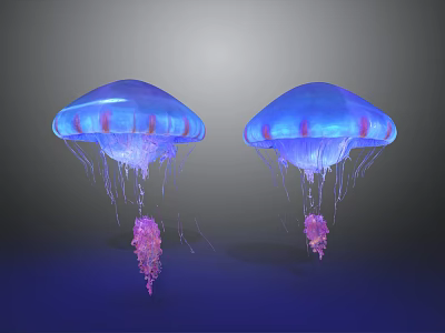 Translucent Blue And Purple Jellyfish With Long Pink Tentacles In Aquatic 3d model