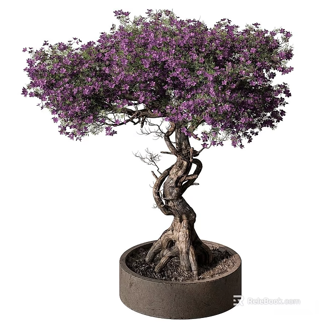 Bonsai Potted Plant With Twisted Trunk Purple Flowers And Exposed Roots 3d model 