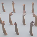 Woman's Multiple Arms And Hands In Various Poses Against Gray Background