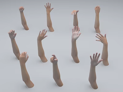 Woman's Multiple Arms And Hands In Various Poses Against Gray Background 3d model