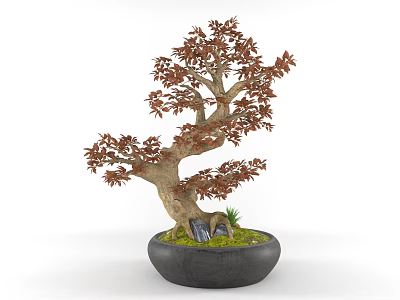 Bonsai Tree With Curved Trunk Red Leaves In Black Round Pot Green Moss And Stones 3d model