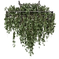 hanging plant fishing plant hanging basket 3d model