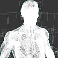 Male Muscular Anatomy 3D Model With Detailed Muscle Structure