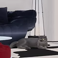 Inflatable Sofa Design With Blue Upholstery Red Curtains And Gray Cat