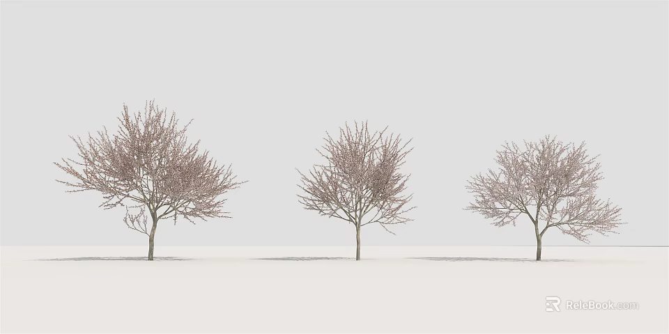 Three Tall Trees With Bare Branches Standing In Row On White Background 3d model 