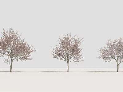 Three Tall Trees With Bare Branches Standing In Row On White Background 3d model