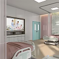Modern Hospital Room With Medical Beds Green Door Large Screen TV And Plant Decor
