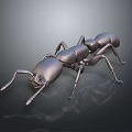 Realistic Metallic Ant 3D Model With Shiny Surface On Dark Background 3d model