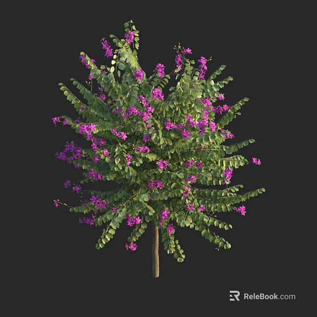 Arbor with Lush Green Foliage and Vibrant Purple Flowers in Outdoor Space 3d model 