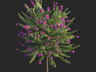 Arbor with Lush Green Foliage and Vibrant Purple Flowers in Outdoor Space 3d model