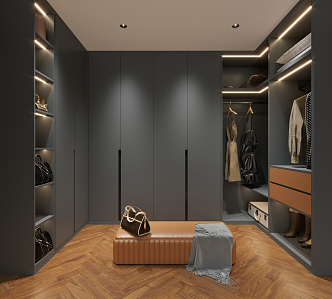 Modern Cloakroom 3d model