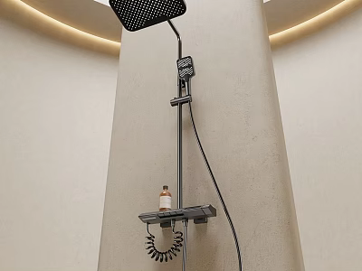 Modern Shower Head with Handheld Shower Coiled Hose and Shelf for Toiletries in Minimalist Bathroom 3d model