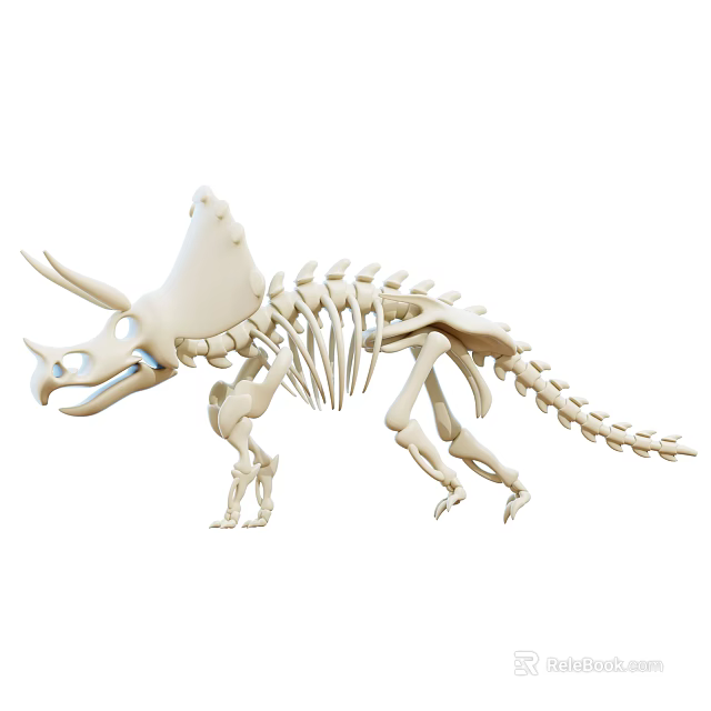 White Triceratops Skeleton Decorative Ornament Model For Home Decoration 3d model 
