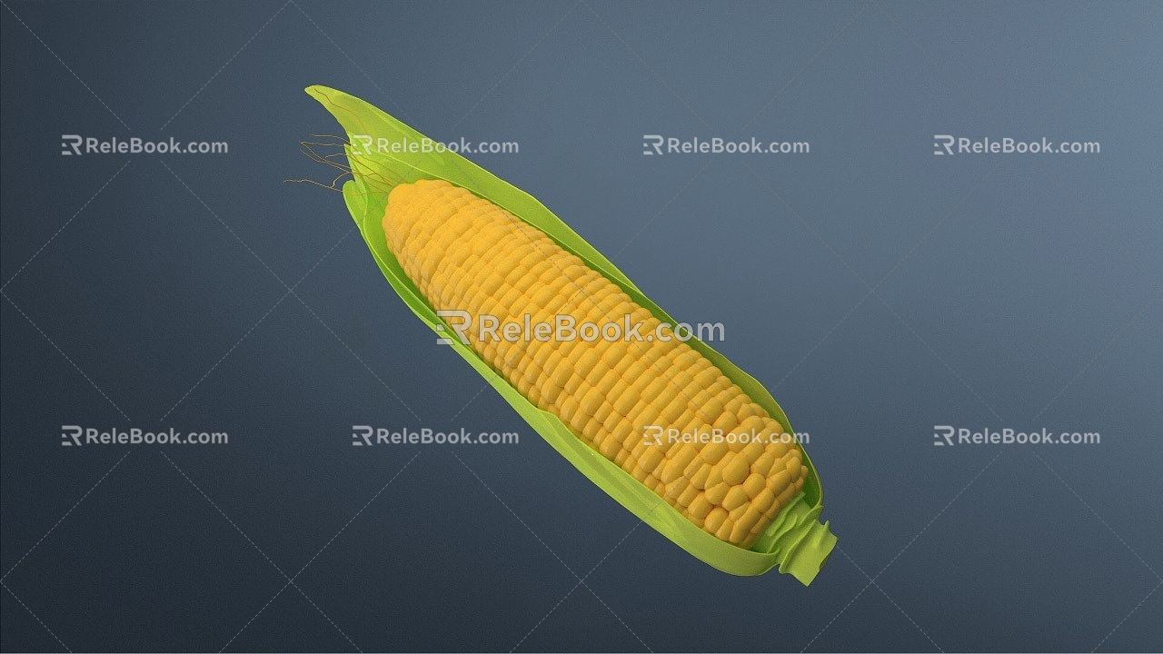 Modern Corn 3d model