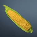 Modern Corn 3d model