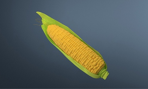 Modern Corn 3d model