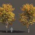 Two Autumn Trees With Yellow Orange Leaves And Standing Figure Model 3d model
