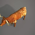 Brown And White Spotted Bull With Long Horns Standing On Gray Background