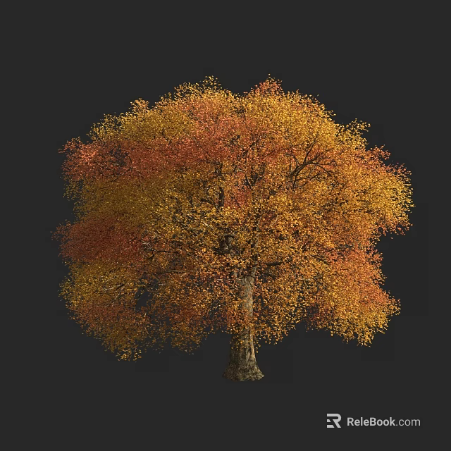 Vibrant Deciduous Tree with Orange and Yellow Autumn Leaves Against Dark Background 3d model 
