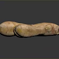 Fresh Organic Ginger Root With Natural Texture On Dark Background Surface