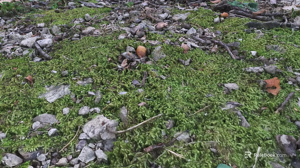 Lush Microtopography With Green Moss Scattered Stones Twigs And Small Mushrooms 3d model 