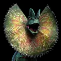 Reptile Dinosaur Model Showcasing Head Crest Blue Color And Dynamic Stance