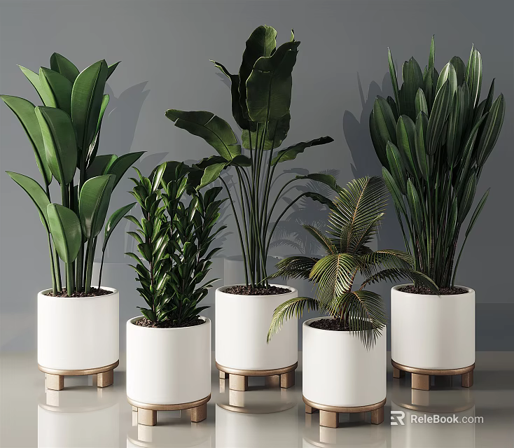 Various Potted Plants In White Pots With Golden Stands For Indoor Decoration 3d model 