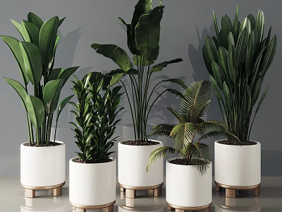 Various Potted Plants In White Pots With Golden Stands For Indoor Decoration 3d model