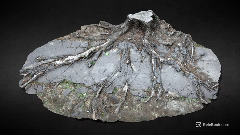 Natural Tree Roots On Weathered Rock Surface With Intricate Textures And Small Green Moss 3d model 