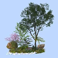 Diverse Plant Combination with Tall Tree Pink Flowering Shrub Low Greenery Stones and White Pebbles