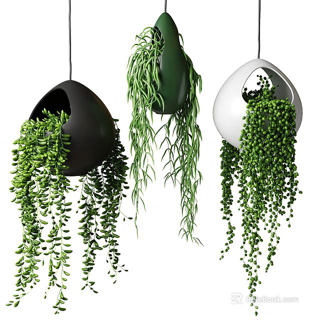 Lush Green Hanging Planters with Trailing Leaves in Black Green White Styles 3d model 