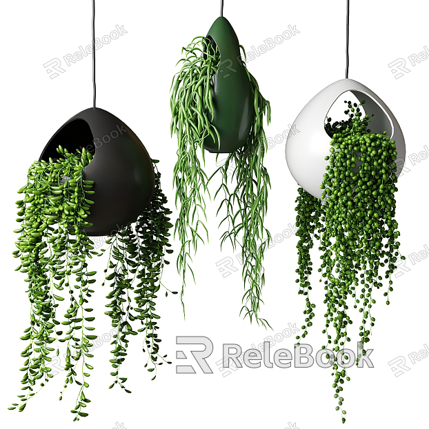 Modern Hanging Basket Green Plant Potted Buddha Beads Potted Hanging Basket model