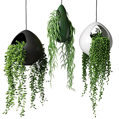 Lush Green Hanging Planters with Trailing Leaves in Black Green White Styles 3d model