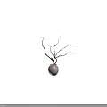 Minimalist Decorative Ornament Set with Light Ceramic Vase and Natural Leafless Branches