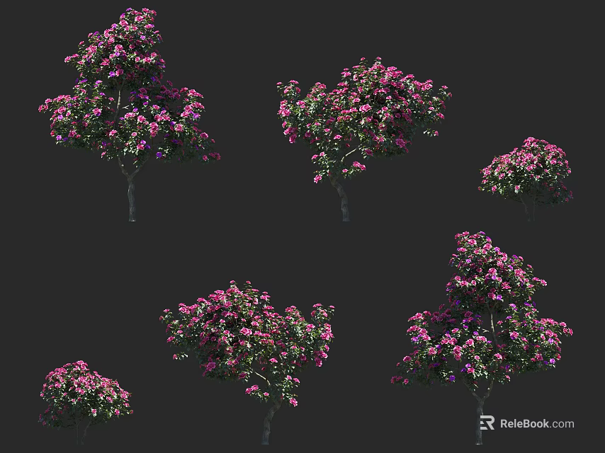 Ornamental Arbor With Vibrant Pink Blossoms In Various Growth Forms 3d model