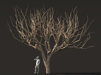 A Person Standing Beside Leafless Tree With Bare Branches And Trunk 3d model