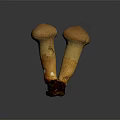 Modern matsutake mushroom straw mushroom 3d model