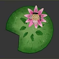 Frog Resting On Green Lotus Leaf With Pink Water Lily Flower