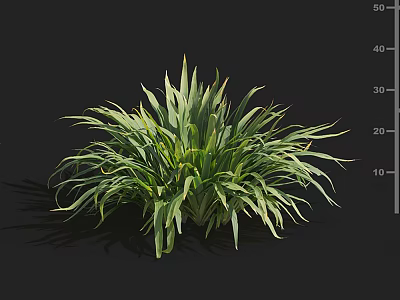 Lush Green Plant With Long Slender Leaves And Natural Growth Structure 3d model