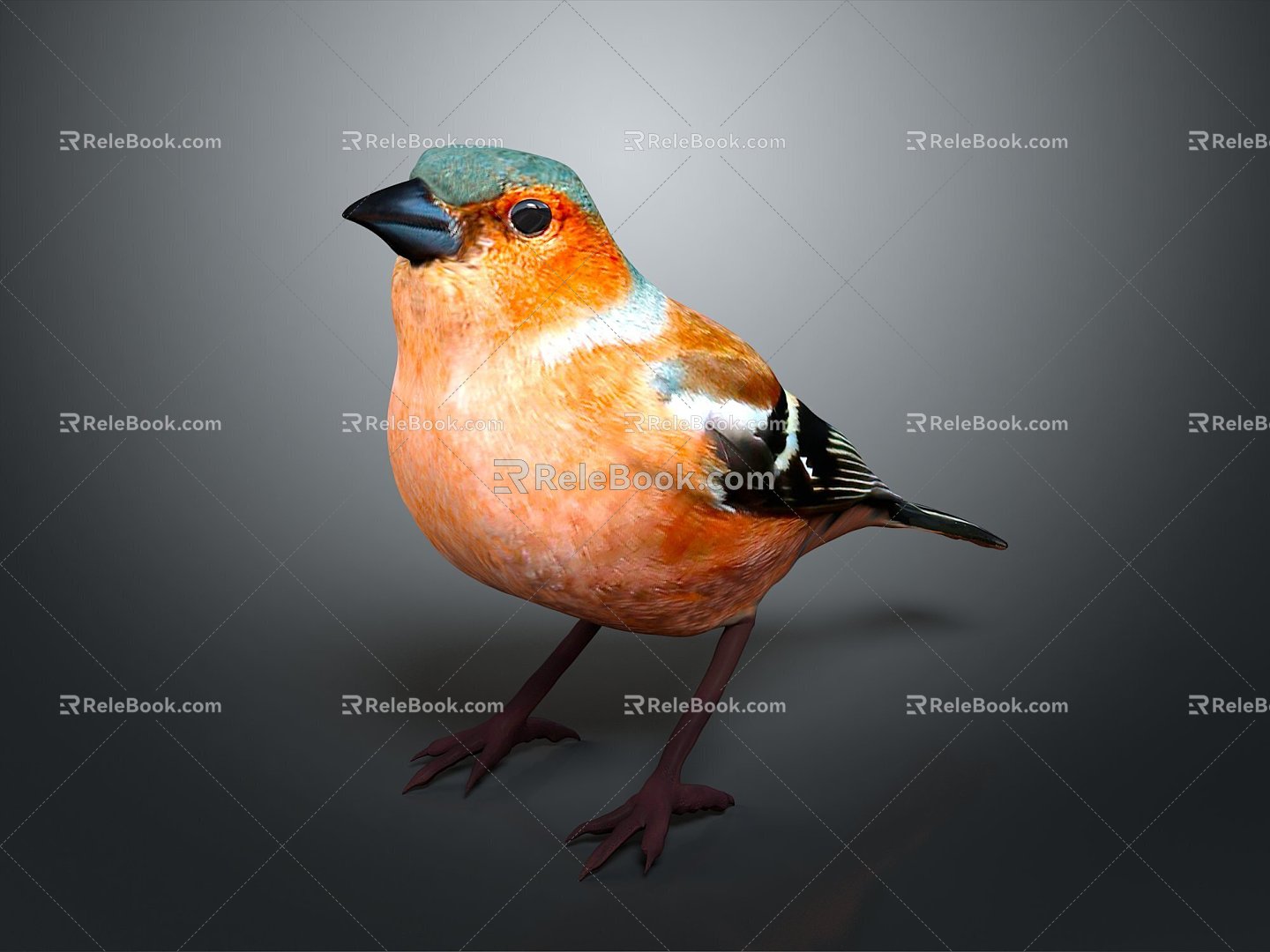 Peregrine Falcon Sparrow Pigeon Wingbird Pearl Bird Hummingbird Flamingbird Bird Bird Animal 3d model