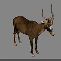 Realistic Brown Antelope With Curved Horns Standing On Green Background