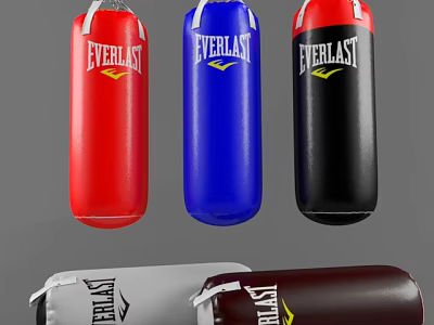 Everlast High Quality Sports Equipment Punching Bags With Various Colors For Training 3d model