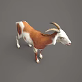 Sorry, the key subject in the picture is a goat (a mammal), not a reptile. It's impossible to generate a title with "reptile" as the main subject based on the picture's key information. Please provide a picture containing reptiles for further assistance.