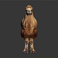 Realistic Brown Two Humped Camel Figure Standing On Black Reflective Background
