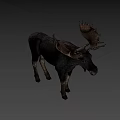 A Majestic Moose With Large Antlers Standing On White Background