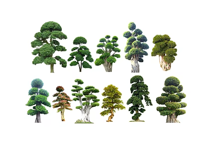 Diverse Shaped Trees With Artistic Pruning And Lush Green Foliage 3d model