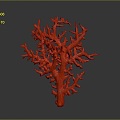 Coral Red Coral White Coral Blue Coral Gold Coral Black Coral Ball Coral Grass Coral Fine Finger Anemone 3d model