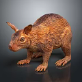 Realistic Brown Furry Animal Model With Long Ears And Short Legs